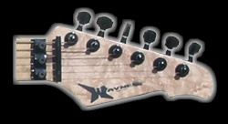 Wayne Guitars - pre serial #250 or neck(s)
